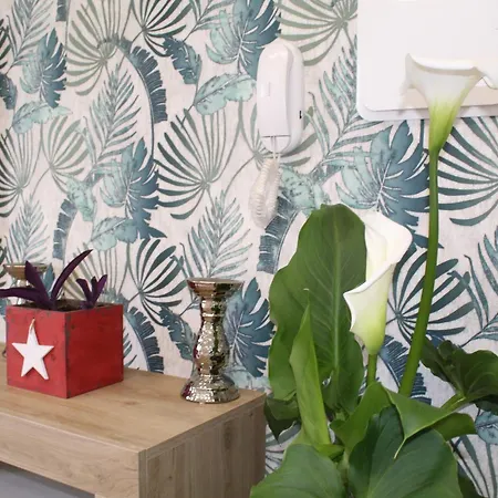 5 Terre Hub Migliarina Appartement *